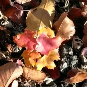 Meet your Posher, Judy